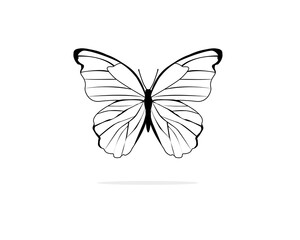 watercolor butterfly isolated on white background