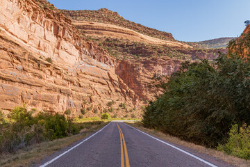 Deserted tree lined road through a red rock Colorado canyon. 