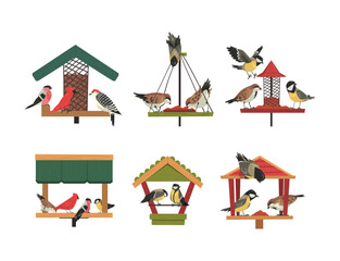 Winter Wooden Bird Feeder with Aves Picking Grain and Seeds Vector Set