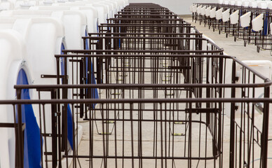 Plastic calf houses for young calves on the farm in summer. Individual houses for raising calves on a livestock farm. Raising calves in special shelters.