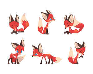 Cute Red Fox with Bushy Tail in Different Pose Vector Set