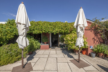 Rooftop terrace of a building with twin folded umbrellas, concrete floors and vines all over the...
