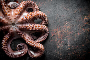 Seafood. Fresh octopus.