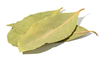 Dry bay leaf on a white isolated background, close up