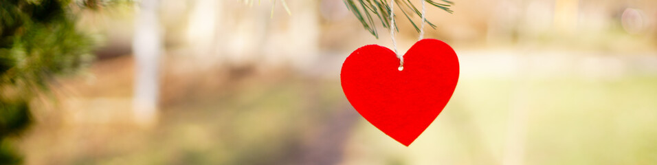 Red heart on a blurred background. Valentine day concept. Banner size