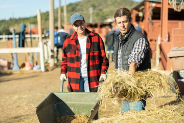 Man and a woman gather hay together to feed the horses in the stable