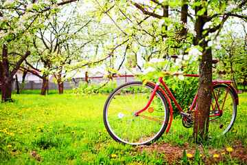 Fototapeta premium spring or summer nature background with retro bicycle 