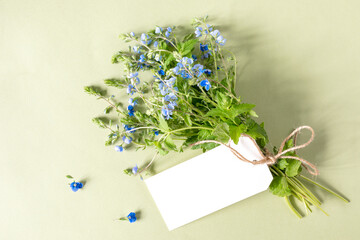 Cute bouquet of Germander Speedwell (Veronica chamaedrys) flowers wildflowers is packed in craft paper, tied with twine with a card on a light yellow background