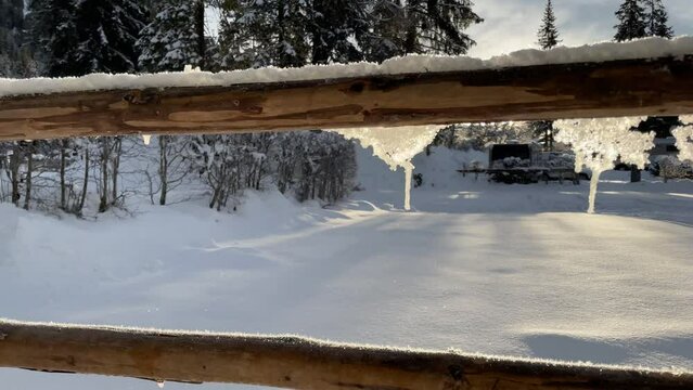 winter in the park