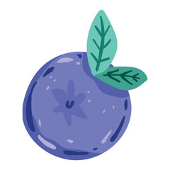 blueberry fruit icon