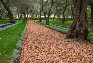 Obraz premium A view from inside the Bahai gardens and temple on the slopes of the Carmel Mountain, Haifa city, Israel