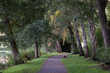 View of a bench in park
