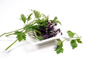 Kresse und Peterilie