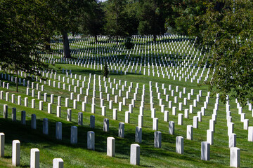 Fototapeta na wymiar Arlington National Cemetery in Washington, D.C.
