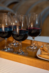 Tasting of rioja wines, visit of winery cellars with french or american oak barrels with agening red wine, Rioja wine making region, Spain