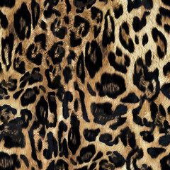 Seamless leopard pattern, leopard skin, animal fur.