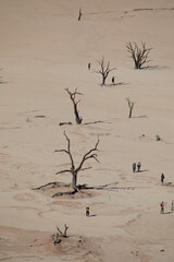 Deadvlei in Sossusvlei, Namibia, Africa