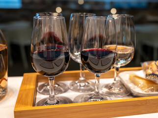 Tasting of rioja wines, visit of winery cellars with french or american oak barrels with agening red wine, Rioja wine making region, Spain