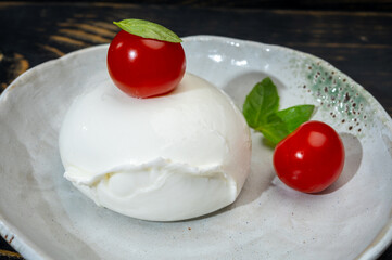 Сheese collection, one big ball on soft white italian mozzarella bufala cheese with red tomato and green basil leaves