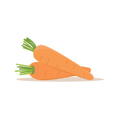 Carrots isolated on white background. Healthy vegetables carrots. Cartoon vector illustration.