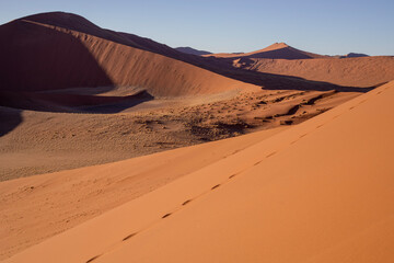 Fototapeta na wymiar Hiking Dune 45 in Sossusvlei in Namibia, Africa