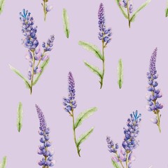 Lavender flowers floral watercolor decorative seamless pattern background