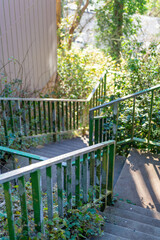 Steep downward facing stairs with moss and vines or trees in distance in afternoon shade in suburban walkway or park
