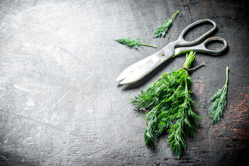 Fresh dill with scissors.