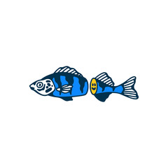 Fototapeta premium vector illustration of sea fish in half