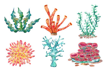 Cute Underwater Watercolor, Sea animals Nursery Decor, Cute Mermaid illustration, Watercolor illustration, Underwater Ocean Sea Animals, Children Books, Greeting Cards, Clipart For Kids.