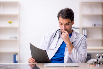 Naklejka premium Young male doctor working in the clinic