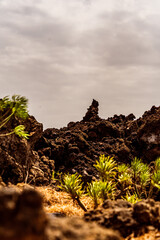 Colada de lava del volcán Tajogaite, isla de la Palma.