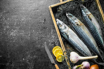 Raw fish mackerel on tray with fishing net, garlic and sliced lemon.