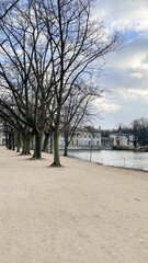 beautiful moss-covered trees in the park
