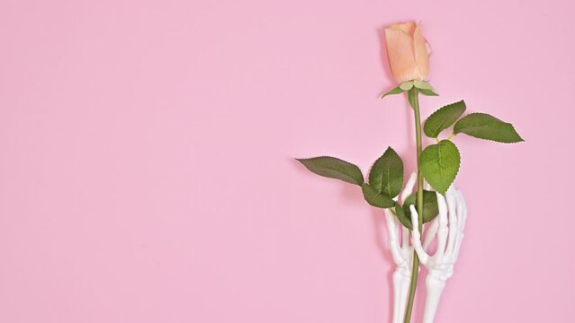 Skeleton hands holding romantic rose flowers on pastel pink background. Valentine's day copy space. Stop motion. Flat lay