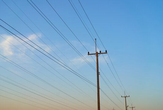 The electrical power lines with poles
