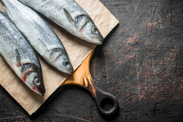Fresh seabass fish on paper.