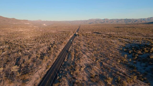 Car driving down lost desert highway road at sunset in the southwestern Arizona with mountain Joshua trees, and cactus plants.  
