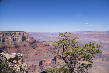 rock formations on the south rim edge of grand canyon national park, arizona, usa