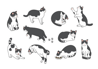 おしゃれな猫の線画イラストセット