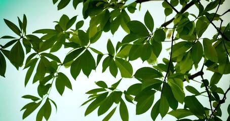 leaves on green background, Generative AI