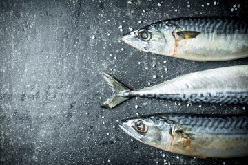 Raw fish mackerel.