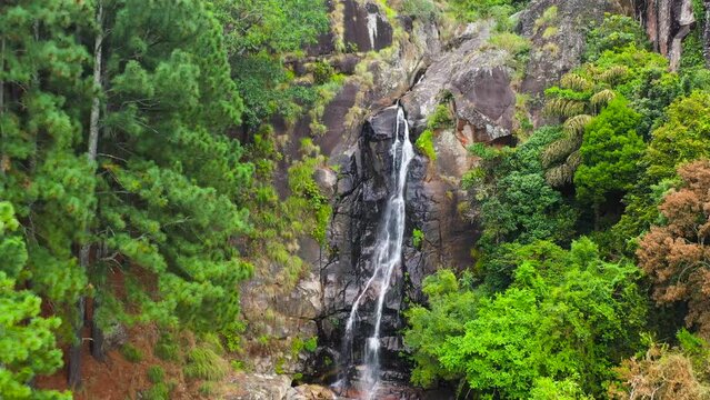 Waterfall among tropical jungle with green plants and trees. Bambarakanda Falls. Sri Lanka.