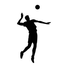 volleyball icon vektor