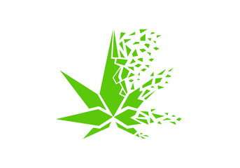 cannabis leaf logo design template.icon for science technology