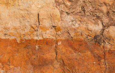 Sedimentary rocks with a high content of iron oxide. Red soil, loam. The texture of the soil.