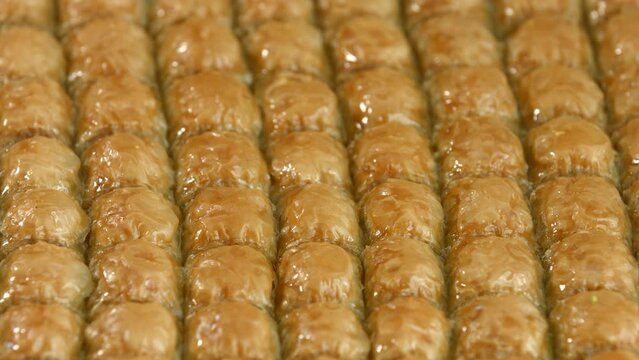 Traditional turkish baklava pistachio pastry. Dilberdudagi, ozel kesim baklava, cikolatali baklava, fistikli baklava, katmer, fistikli kadayif, kattafi, fistik sarma, soguk baklava, midye baklava, cev
