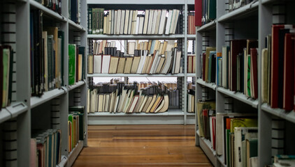 Estanterías de biblioteca llenas con muchos libros. Aprendizaje y estudio
