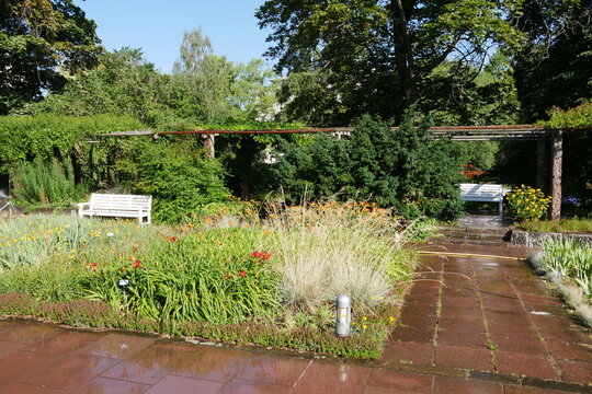 Blumen im Staudengarten auf der Freundschaftsinsel in Potsdam
