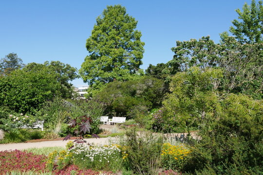 Blumen im Staudengarten auf der Freundschaftsinsel in Potsdam